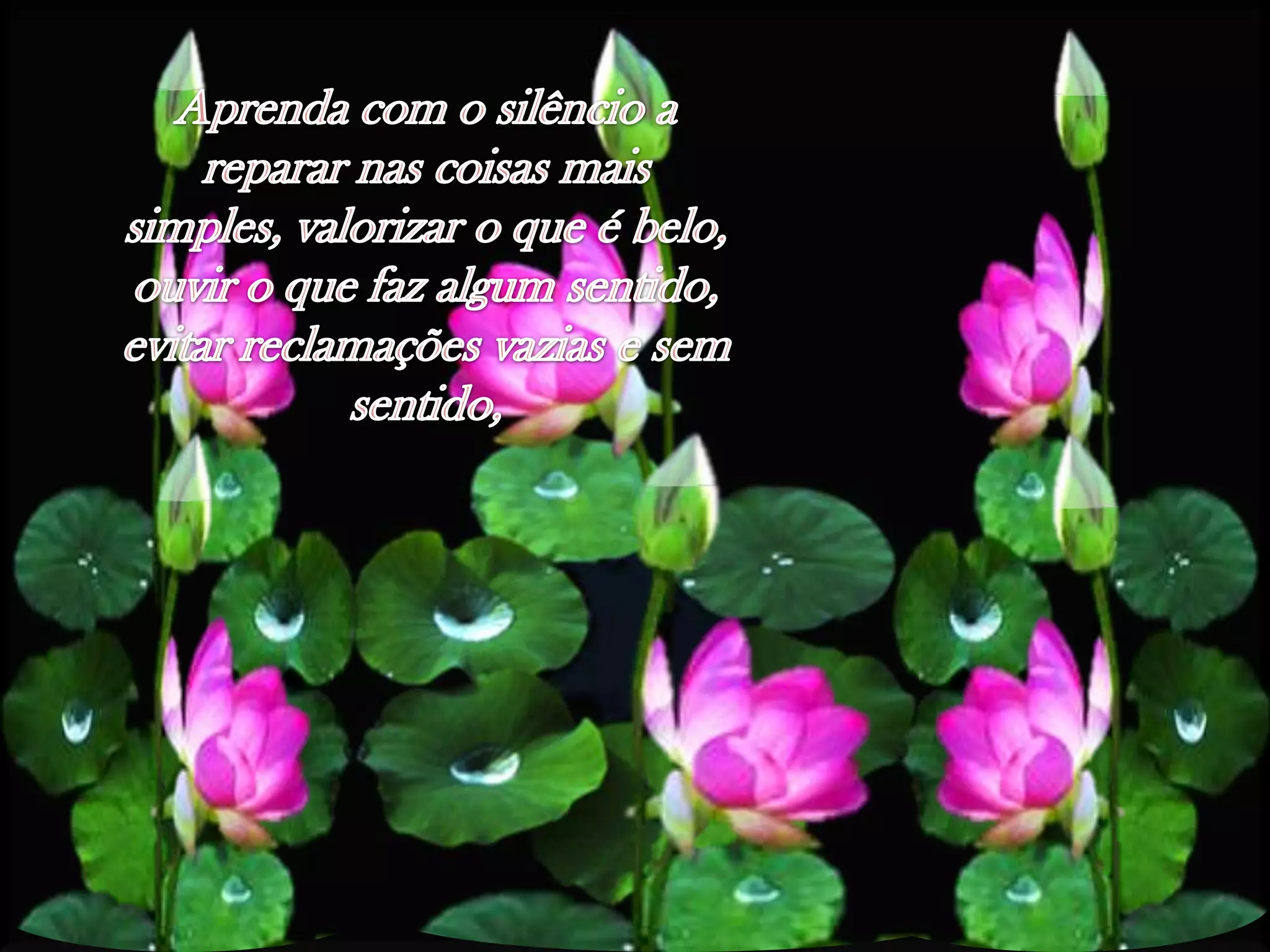 Aprendacom o silêncio a repararnascoisasmais simples, valorizar o queébelo, ouvir o quefazalgumsentido, evitarreclamaçõesvazias e semsentido,