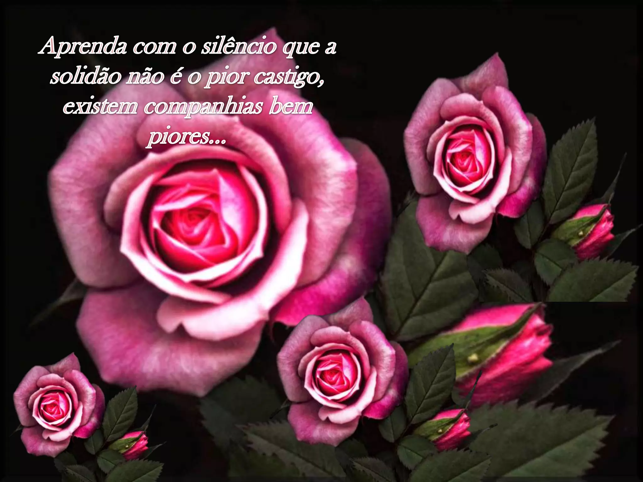 Aprendacom o silêncioque a solidãonãoé o piorcastigo, existemcompanhiasbempiores…