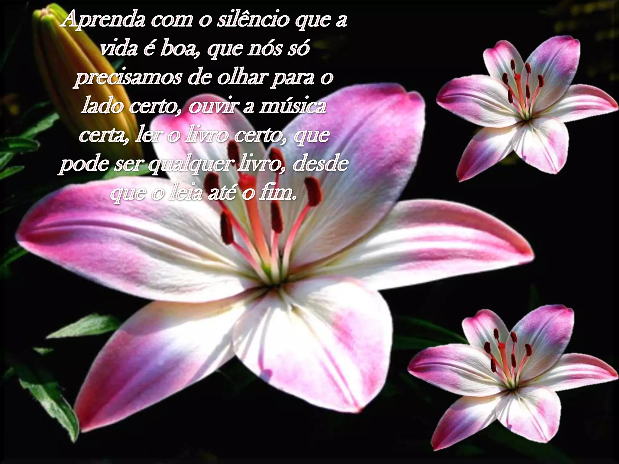 Aprendacom o silêncioque a vidaé boa, quenóssóprecisamosde olharpara o ladocerto, ouvir a músicacerta, ler o livrocerto, quepodeserqualquerlivro, desdequeo leiaaté o fim.