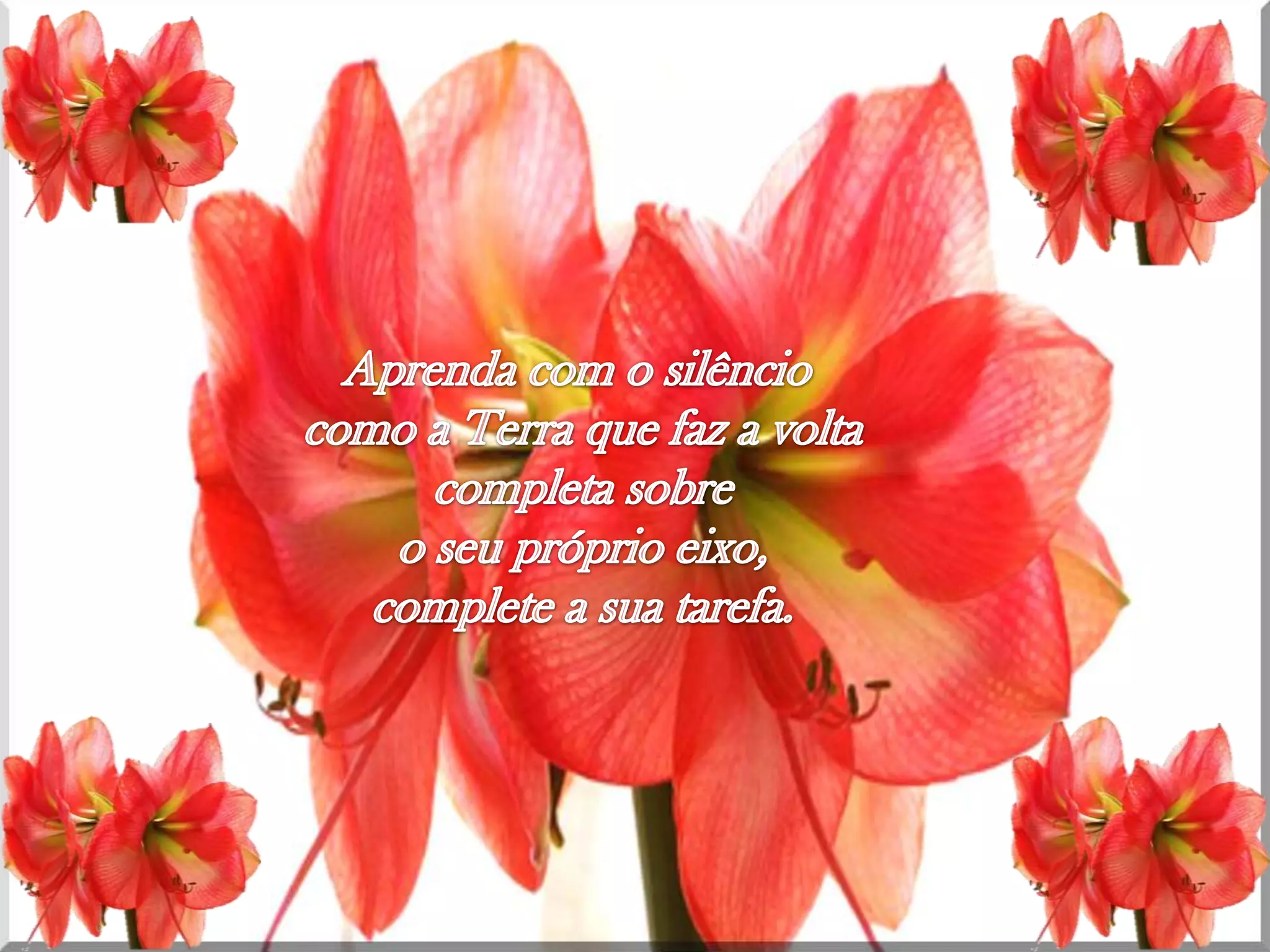 Aprendacom o silênciocomo a Terra quefaz a voltacompletasobreo seupróprioeixo, complete a suatarefa.