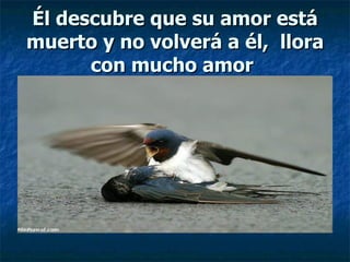Él descubre que su amor está muerto y no volverá a él,  llora con mucho amor   