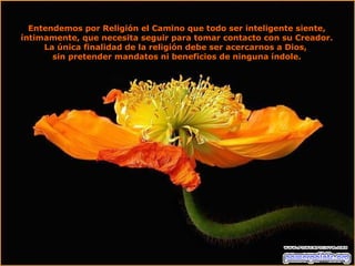 Entendemos por Religión el Camino que todo ser inteligente siente, íntimamente, que necesita seguir para tomar contacto con su Creador. La única finalidad de la religión debe ser acercarnos a Dios,  sin pretender mandatos ni beneficios de ninguna índole. 