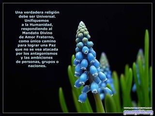 Una verdadera religión debe ser Universal. Unifiquemos  a la Humanidad, respondiendo al  Mandato Divino de Amor Fraterno,  como único camino para lograr una Paz  que no se vea atacada  por los antagonismos  y las ambiciones  de personas, grupos o naciones. 