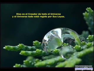 Dios es el Creador de todo el Universo y el Universo todo está regido por Sus Leyes. 