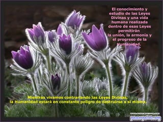 El conocimiento y estudio de las Leyes Divinas y una vida humana realizada dentro de esas Leyes permitirán  la unión, la armonía y el progreso de la Humanidad.   Mientras vivamos contrariando las Leyes Divinas,  la Humanidad estará en constante peligro de destruirse a sí misma. 