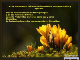 La Ley fundamental del Amor Universal debe ser comprendida y aplicada. Dios es Padre de todo y de todos por igual  y de esa Paternidad Divina surge la Fraternidad Universal como Ley y como Necesidad.  La Fraternidad entre los humanos es Ley y Necesidad. 