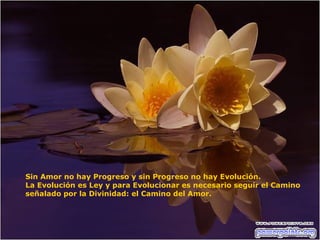 Sin Amor no hay Progreso y sin Progreso no hay Evolución. La Evolución es Ley y para Evolucionar es necesario seguir el Camino señalado por la Divinidad: el Camino del Amor. 