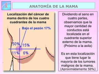 Dividiendo el seno en
cuatro partes,
observamos que la
mayor cantidad de
conductos está
localizada en el
cuadrante superior
externo de la mama.
(Próximo a la axila)
Es en esta localización
que tiene lugar la
mayoría de los tumores
malignos de la mama.
(Aproximádamente 50%)
Localización del cáncer de
mama dentro de los cuatro
cuadrantes de la mama
Bajo el pezón 17%
ANATOMÍA DE LA MAMA
 