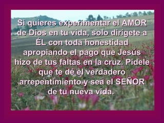 Si quieres experimentar el  AMOR  de Dios en tu vida, solo dirígete a ÉL con toda honestidad apropiando el pago que Jesús hizo de tus faltas en la cruz. Pídele que te dé el verdadero arrepentimiento y sea el SEÑOR de tu nueva vida.  