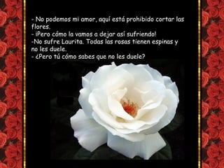 - No podemos mi amor, aquí está prohibido cortar las
flores.
- ¡Pero cómo la vamos a dejar así sufriendo!
-No sufre Laurita. Todas las rosas tienen espinas y
no les duele.
- ¿Pero tú cómo sabes que no les duele?
 