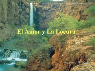 El Amor y La Locura. 
 