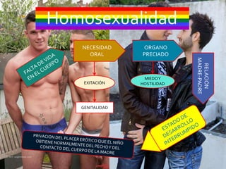Homosexualidad
   NECESIDAD     ORGANO
     ORAL        PRECIADO




                              MADRE-PADRE
                               RELACIÓN
                  MIEDO Y
    EXITACIÓN    HOSTILIDAD




   GENITALIDAD
 