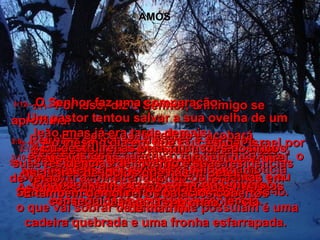 AMÓS 3:8–   O leão rugiu, tremam de medo.  O Senhor Deus anunciou seu julgamento e eu não tenho coragem para deixar de anunciá-lo.  3:9–   Reúnam os líderes filisteus e egípcios  e digam a eles:  Sentem-se nos montes de Samaria  para serem testemunhas dos crimes escandalosos cometidos por Israel.  3:10–   O meu povo esqueceu o que significa fazer  o que é correto, diz o Senhor.  Suas belas casas estão cheias de riquezas conseguidas com roubo e violência.  3:11–   Por isso, diz o Senhor, o inimigo se  aproxima!  Ele cerca os israelitas e acabará  destruindo suas fortalezas e lindas casas.  3:12–   O Senhor faz uma comparação:  Um pastor tentou salvar a sua ovelha de um leão, mas já era tarde demais;  conseguiu arrancar da boca do leão duas  pernas e um pedaço da orelha.  Isso vai acontecer quando os israelitas em Samaria forem finalmente socorridos:  o que vai sobrar de tudo o que possuíam é uma cadeira quebrada e uma fronha esfarrapada.  3:13–   Escutem esse aviso e espalhem a notícia  em todo Israel, diz o Senhor do Universo:  3:14–   No mesmo dia em que Eu castigar Israel por causa de seus pecados, também destruirei  os altares de ídolos que há em Betel.  As pontas do altar serão arrancadas  e jogadas ao chão.  3:15–   Eu destruirei as belas mansões dos ricos, suas residências de inverno e suas residências  de verão.  E também demolirei os palácios cobertos  de marfim.  