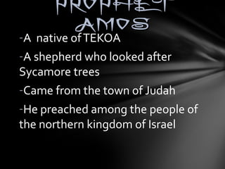 PPRROOPPHHEETT 
AAMMOOSS 
-A native of TEKOA 
-A shepherd who looked after 
Sycamore trees 
-Came from the town of Judah 
-He preached among the people of 
the northern kingdom of Israel 
 