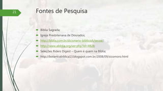 Fontes de Pesquisa
 Bíblia Sagrada;
 Igreja Presbiteriana de Dourados;
 http://biblia.com.br/dicionario-biblico/t/tecoa/;
 http://www.abiblia.org/ver.php?id=4828;
 Seleções Riders Digest – Quem é quem na Bíblia;
 http://botanicabiblica13.blogspot.com.br/2008/09/sicomoro.html
21
 