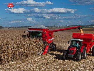 Mais de 50 anos no Brasil