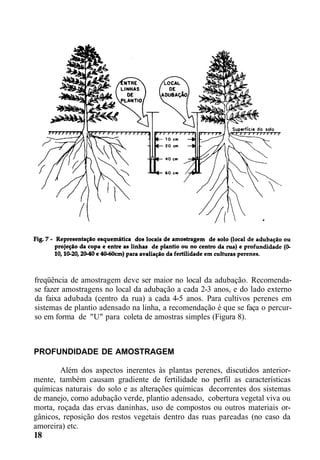 freqüência de amostragem deve ser maior no local da adubação. Recomenda-
se fazer amostragens no local da adubação a cada 2-3 anos, e do lado externo
da faixa adubada (centro da rua) a cada 4-5 anos. Para cultivos perenes em
sistemas de plantio adensado na linha, a recomendação é que se faça o percur-
so em forma de "U" para coleta de amostras simples (Figura 8).
PROFUNDIDADE DE AMOSTRAGEM
Além dos aspectos inerentes às plantas perenes, discutidos anterior-
mente, também causam gradiente de fertilidade no perfil as características
químicas naturais do solo e as alterações químicas decorrentes dos sistemas
de manejo, como adubação verde, plantio adensado, cobertura vegetal viva ou
morta, roçada das ervas daninhas, uso de compostos ou outros materiais or-
gânicos, reposição dos restos vegetais dentro das ruas pareadas (no caso da
amoreira) etc.
18
 