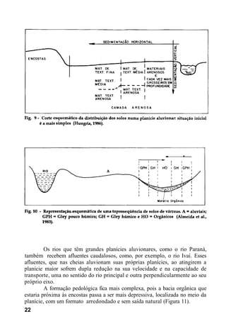 Os rios que têm grandes planícies aluvionares, como o rio Paraná,
também recebem afluentes caudalosos, como, por exemplo, o rio Ivaí. Esses
afluentes, que nas cheias aluvionam suas próprias planícies, ao atingirem a
planície maior sofrem dupla redução na sua velocidade e na capacidade de
transporte, uma no sentido do rio principal e outra perpendicularmente ao seu
próprio eixo.
A formação pedológica fica mais complexa, pois a bacia orgânica que
estaria próxima às encostas passa a ser mais depressiva, localizada no meio da
planície, com um formato arredondado e sem saída natural (Figura 11).
22
 