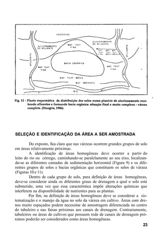 SELEÇÃO E IDENTIFICAÇÃO DA ÁREA A SER AMOSTRADA
Do exposto, fica claro que nas várzeas ocorrem grandes grupos de solo
em áreas relativamente próximas.
A identificação de áreas homogêneas deve ocorrer a partir do
leito do rio ou córrego, caminhando-se paralelamente ao seu eixo, localizan-
do-se as diferentes camadas de sedimentação horizontal (Figura 9) e os dife-
rentes grupos de solos e bacias orgânicas que constituem os solos de várzea
(Figuras 10 e 11).
Dentro de cada grupo de solo, para definição de áreas homogêneas,
deve-se considerar ainda os diferentes graus de drenagem a qual o solo está
submetido, uma vez que essa característica impõe alterações químicas que
interferem na disponibilidade de nutrientes para as plantas.
Por fim, na definição de áreas homogêneas deve se considerar a sis-
tematização e o manejo da água no solo da várzea em cultivo. Áreas com dre-
nos muito espaçados podem necessitar de amostragem diferenciada no centro
do tabuleiro e nas faixas próximas aos canais de drenagem. Contrariamente,
tabuleiros ou áreas de cultivos que possuem rede de canais de drenagem pró-
ximos poderão ser considerados como áreas homogêneas.
23
 