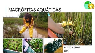 MACRÓFITAS AQUÁTICAS
FOTOS AEREAS
GPS
 