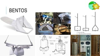 BENTOS
 