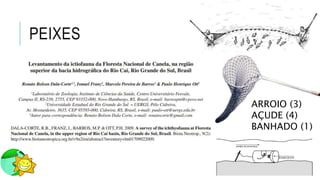 PEIXES
ARROIO (3)
AÇUDE (4)
BANHADO (1)
 