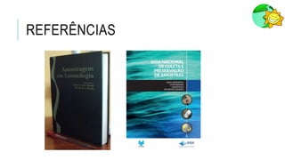 REFERÊNCIAS
 