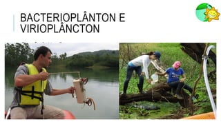 BACTERIOPLÂNTON E
VIRIOPLÂNCTON
Garrafa de Van Dorn
 