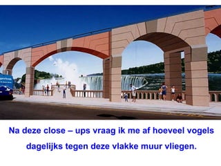 Na deze close – ups vraag ik me af hoeveel vogels  dagelijks tegen deze vlakke muur vliegen. 