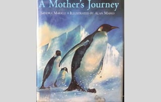 A mother's journey, by sandra markle