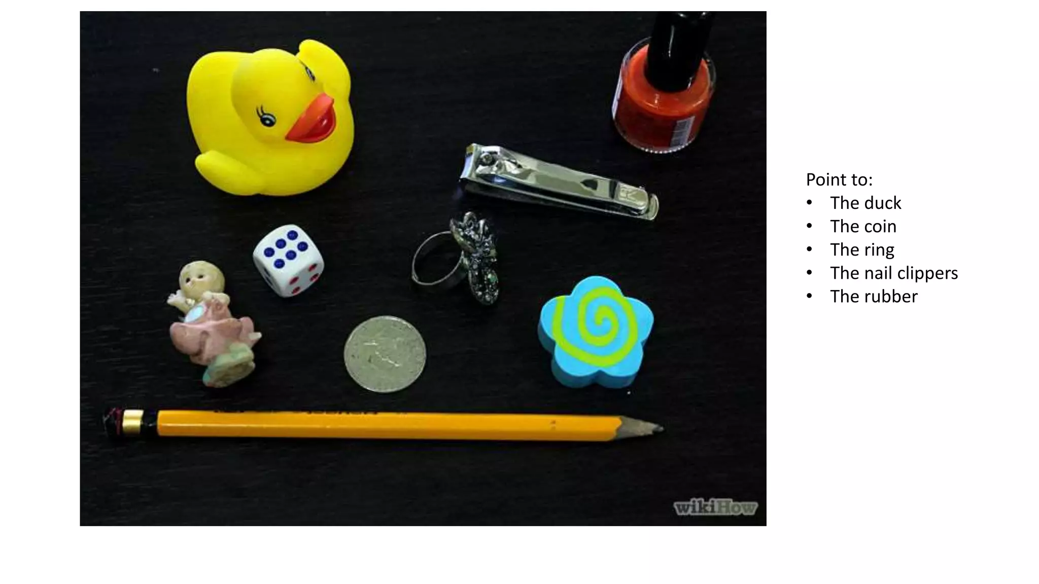 Point to:
• The duck
• The coin
• The ring
• The nail clippers
• The rubber
 