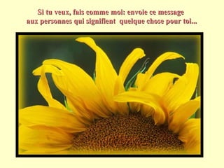 Si tu veux, fais comme moi: envoie ce message  aux personnes qui signifient  quelque chose pour toi... 