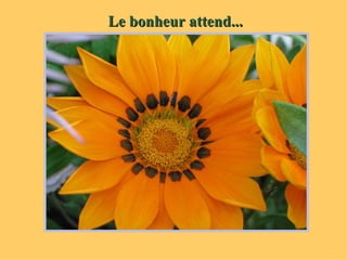 Le bonheur attend... 