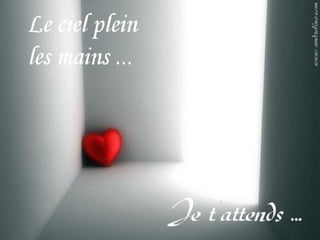 Amour Virtuel