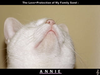 A  N  N  I  E The Love+Protection of My Family Sand : 