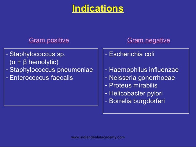 Amoxicillin Vs Augmentin For Uti