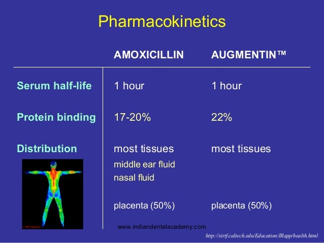 Amoxicillin Vs Augmentin