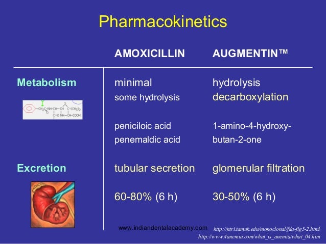 Amoxicillin Vs Augmentin For Strep