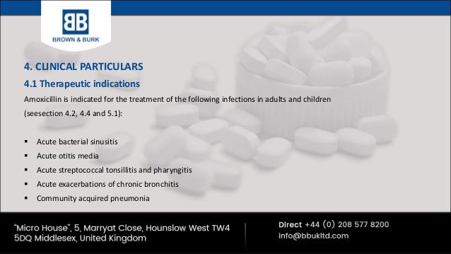 Average price of amoxicillin