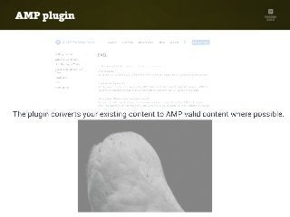 AMP plugin
amp-wp.org
 