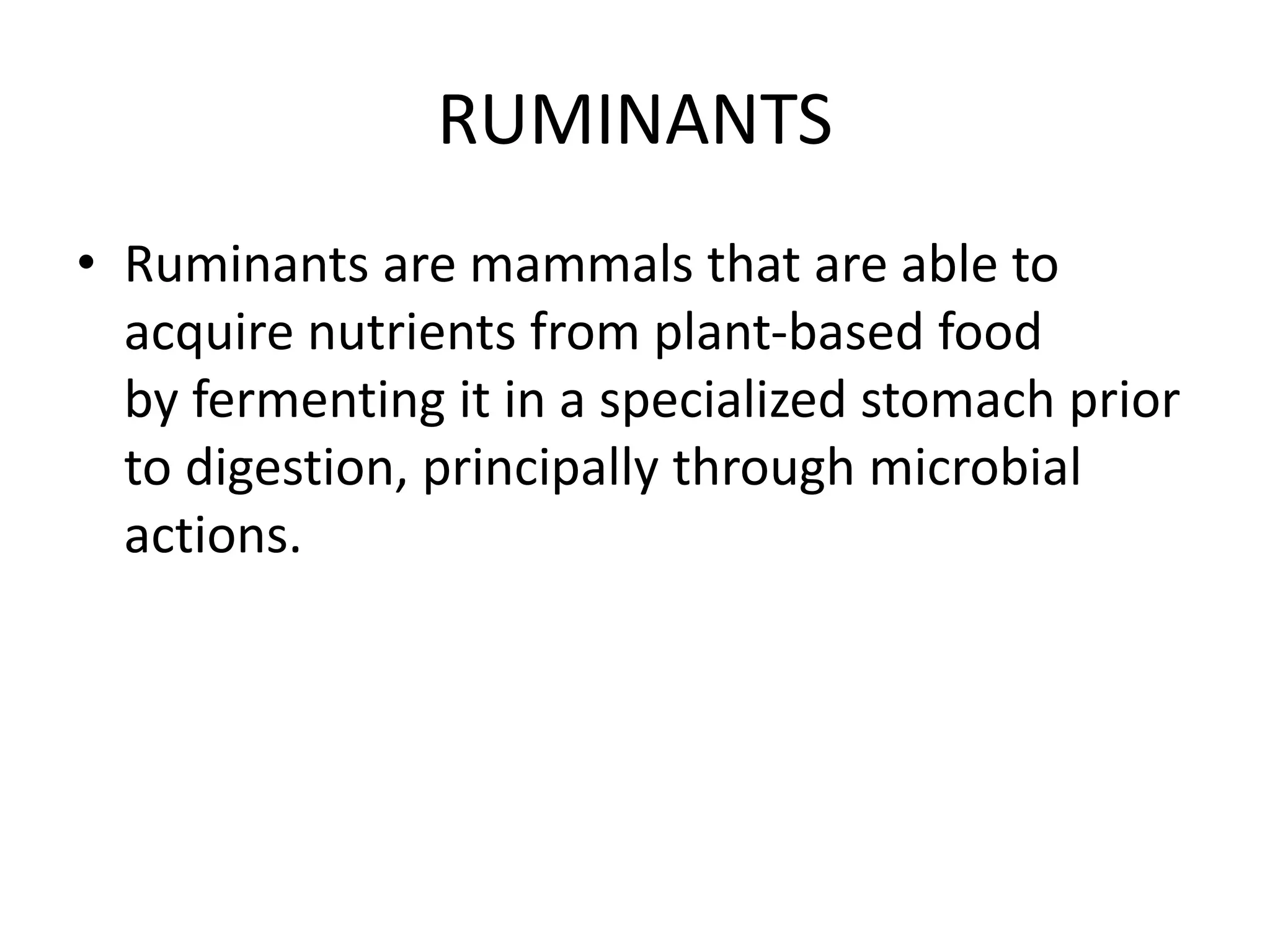 Ruminants care and management of pregnant animals in ruminants and swine | PPTX