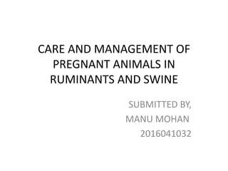 CARE AND MANAGEMENT OF
PREGNANT ANIMALS IN
RUMINANTS AND SWINE
SUBMITTED BY,
MANU MOHAN
2016041032
 