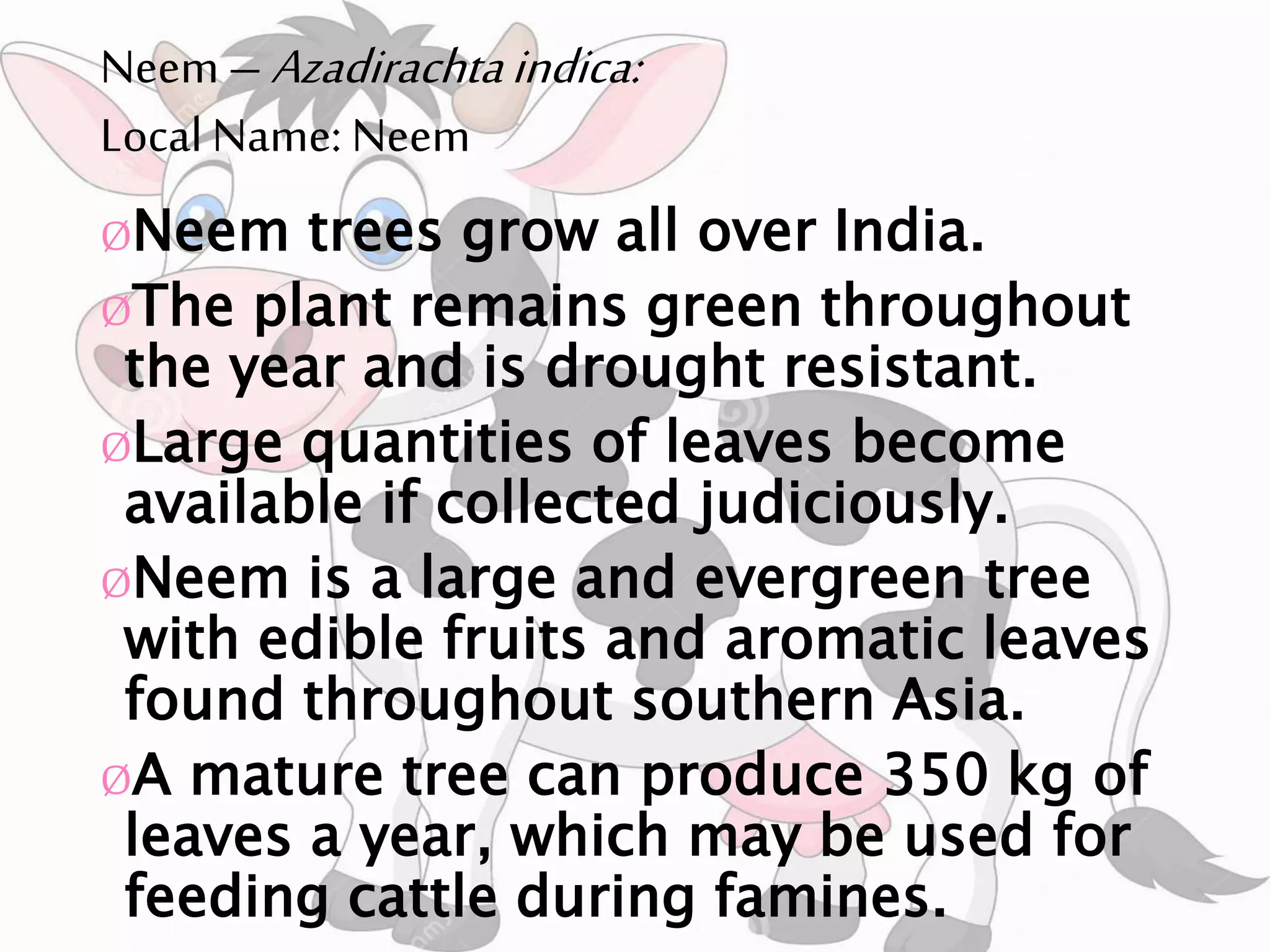 Importance of Tree Fodders for Livestock Rearing and their Nutritive ...