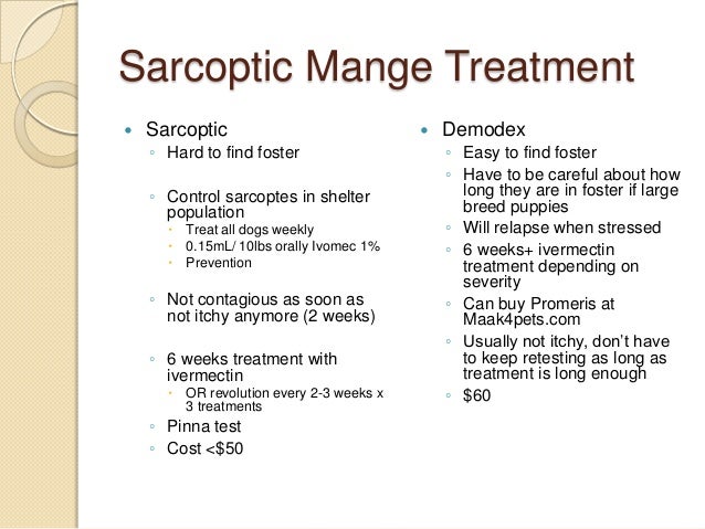 Ivermectin Dosage For Sarcoptic Mange In Dogs
