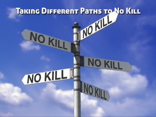Taking Different Paths to No Kill