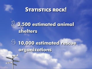 Taking Different Paths to No Kill