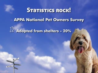 Taking Different Paths to No Kill