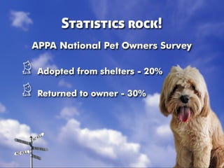 Taking Different Paths to No Kill