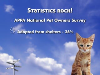 Taking Different Paths to No Kill