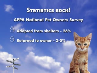 Taking Different Paths to No Kill